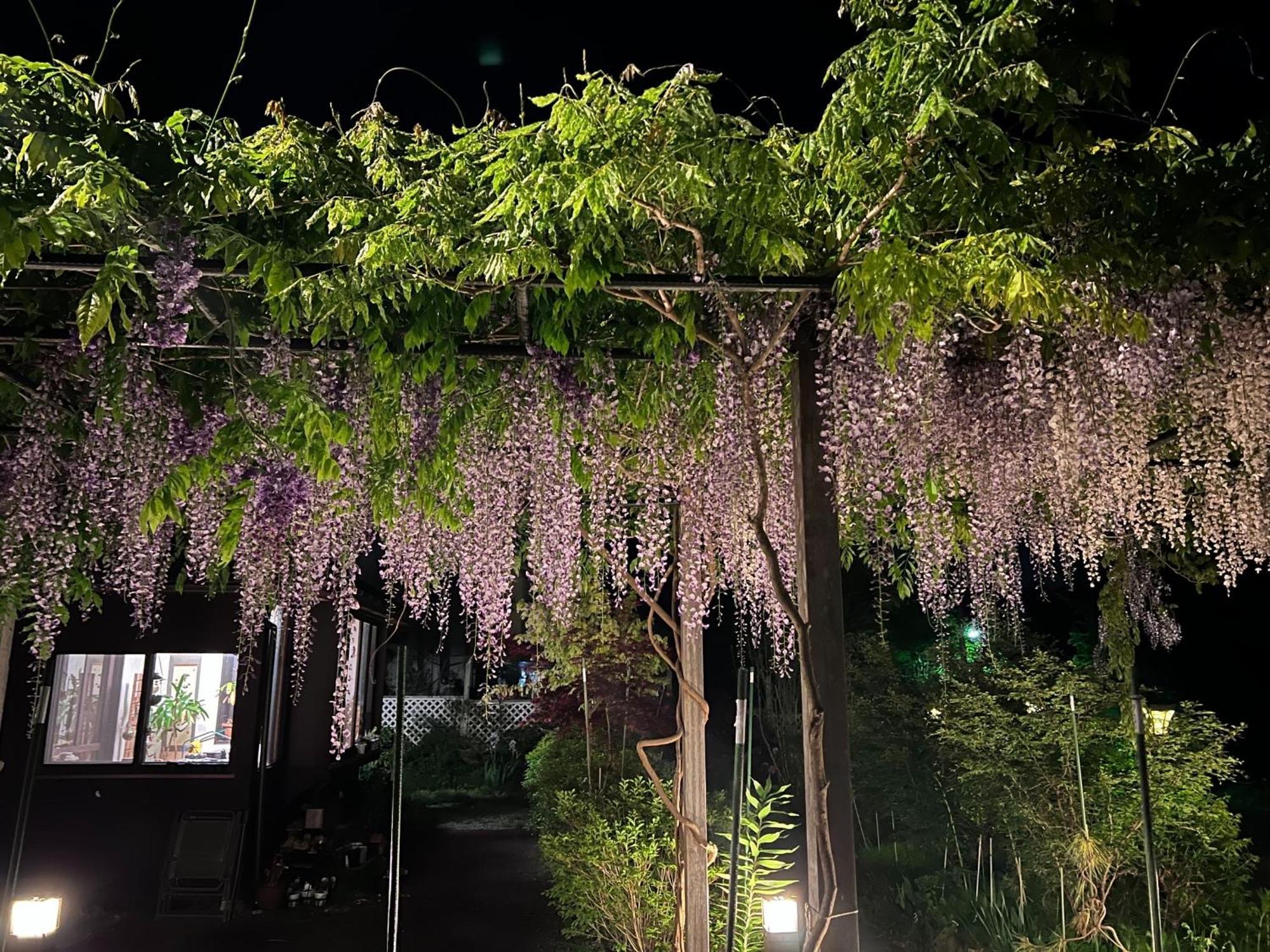 ホテル ペンション蘭峰 富士河口湖町 エクステリア 写真