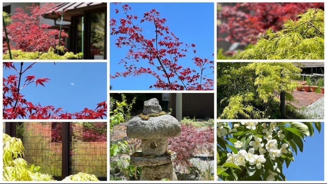 ホテル ペンション蘭峰 富士河口湖町 エクステリア 写真