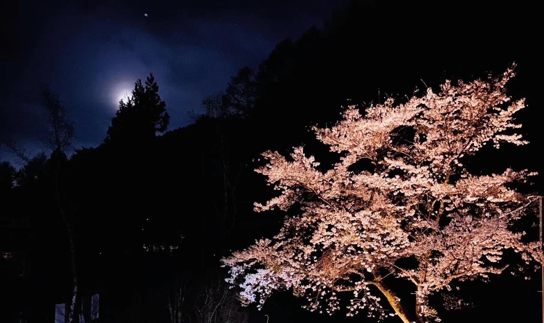 ホテル ペンション蘭峰 富士河口湖町 エクステリア 写真